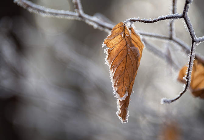 frio de inverno